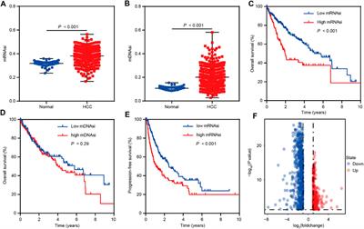 Cancer stemness-associated LINC02475 serves as a novel biomarker for diagnosis and prognosis prediction of hepatocellular carcinoma